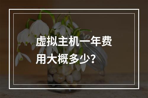 虚拟主机一年费用大概多少？