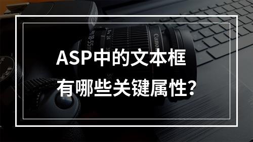 ASP中的文本框有哪些关键属性?