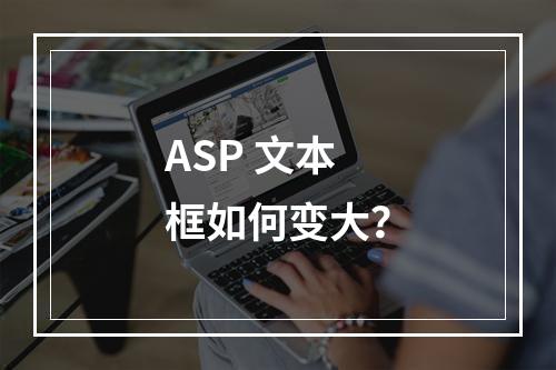 ASP 文本框如何变大?