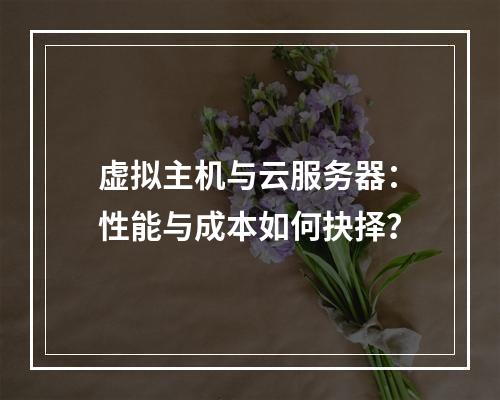 虚拟主机与云服务器：性能与成本如何抉择？