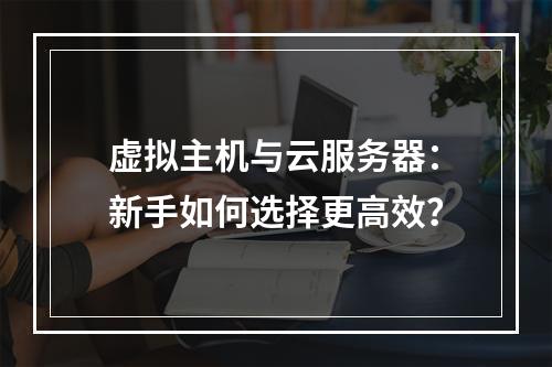 虚拟主机与云服务器：新手如何选择更高效？