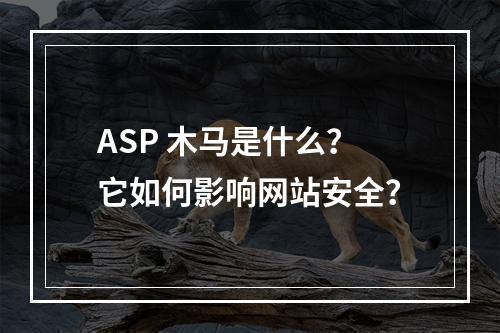 ASP 木马是什么?它如何影响网站安全?