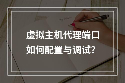 虚拟主机代理端口如何配置与调试？