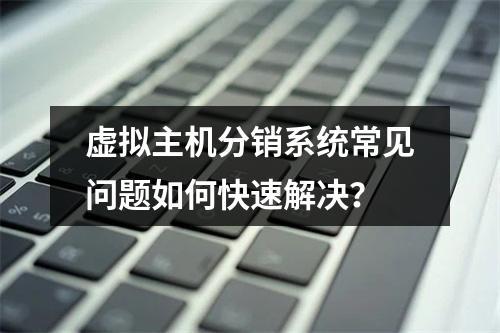 虚拟主机分销系统常见问题如何快速解决？