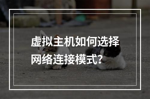 虚拟主机如何选择网络连接模式？
