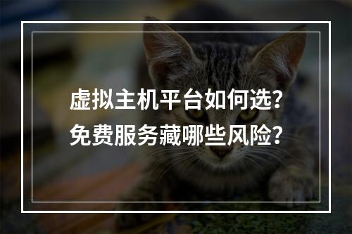 虚拟主机平台如何选？免费服务藏哪些风险？