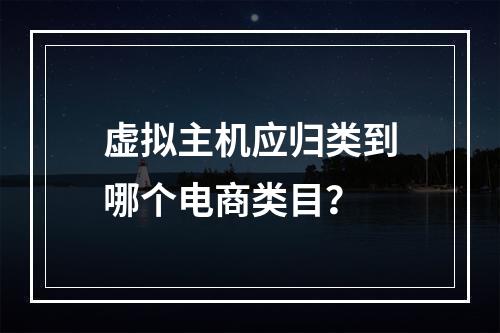 虚拟主机应归类到哪个电商类目？