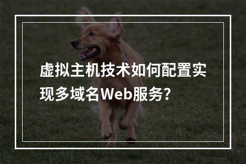 虚拟主机技术如何配置实现多域名Web服务？