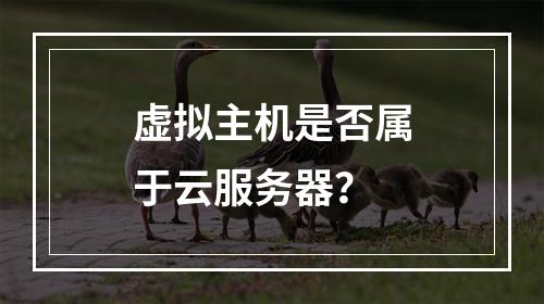 虚拟主机是否属于云服务器？