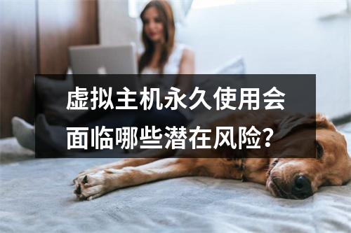 虚拟主机永久使用会面临哪些潜在风险？