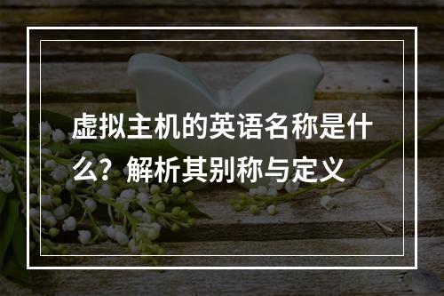 虚拟主机的英语名称是什么？解析其别称与定义