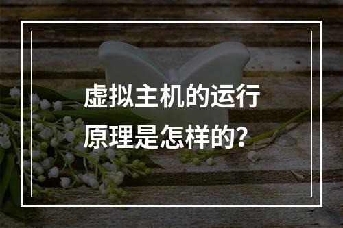 虚拟主机的运行原理是怎样的？