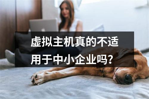 虚拟主机真的不适用于中小企业吗？
