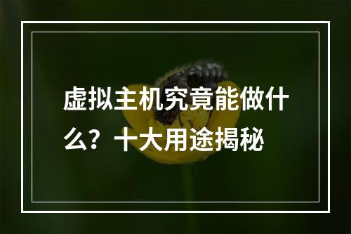 虚拟主机究竟能做什么？十大用途揭秘