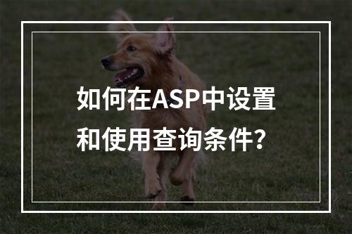 如何在ASP中设置和使用查询条件?