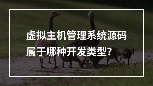 虚拟主机管理系统源码属于哪种开发类型？