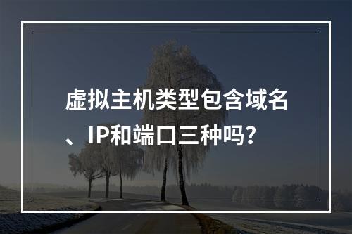 虚拟主机类型包含域名、IP和端口三种吗？