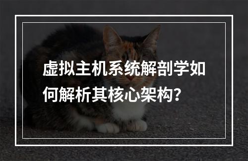 虚拟主机系统解剖学如何解析其核心架构？