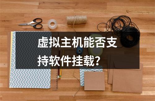 虚拟主机能否支持软件挂载？