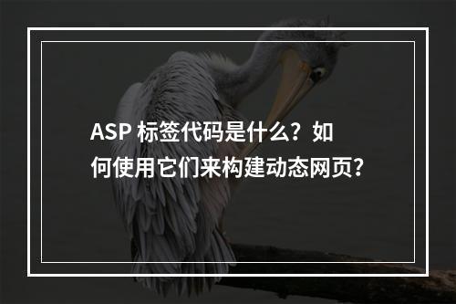 ASP 标签代码是什么?如何使用它们来构建动态网页?