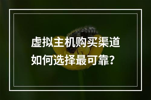 虚拟主机购买渠道如何选择最可靠？