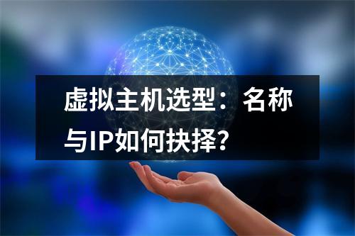 虚拟主机选型：名称与IP如何抉择？