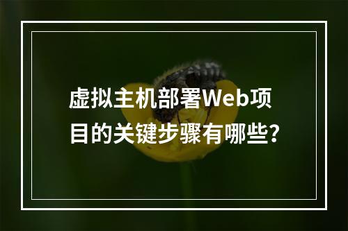 虚拟主机部署Web项目的关键步骤有哪些？