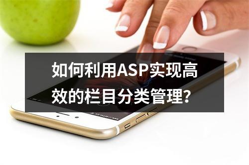 如何利用ASP实现高效的栏目分类管理?
