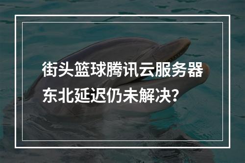 街头篮球腾讯云服务器东北延迟仍未解决？