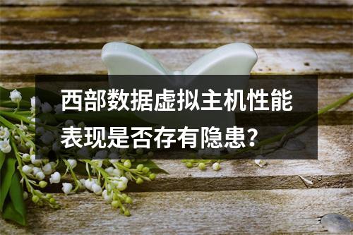 西部数据虚拟主机性能表现是否存有隐患？