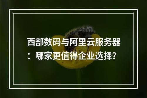 西部数码与阿里云服务器：哪家更值得企业选择？