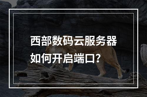 西部数码云服务器如何开启端口？