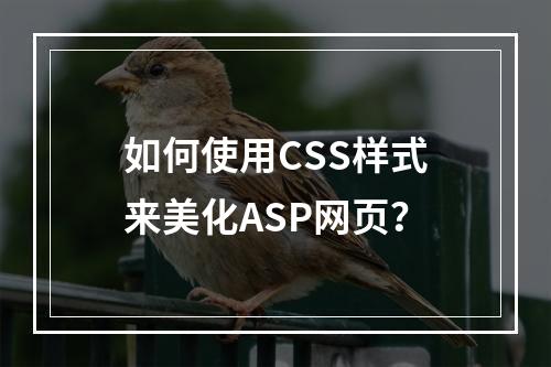 如何使用CSS样式来美化ASP网页?