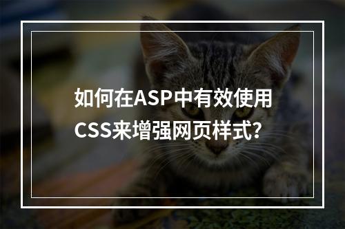 如何在ASP中有效使用CSS来增强网页样式?