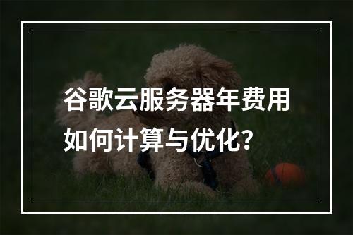 谷歌云服务器年费用如何计算与优化？