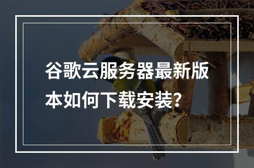 谷歌云服务器最新版本如何下载安装？