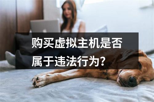 购买虚拟主机是否属于违法行为？