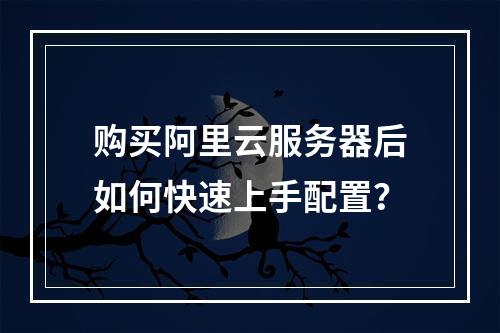 购买阿里云服务器后如何快速上手配置？