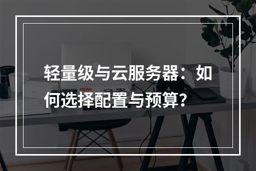 轻量级与云服务器：如何选择配置与预算？