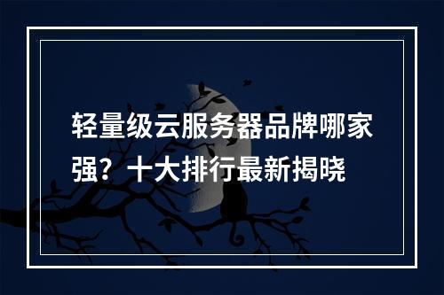 轻量级云服务器品牌哪家强？十大排行最新揭晓