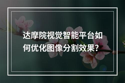 达摩院视觉智能平台如何优化图像分割效果？