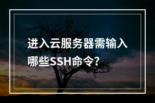 进入云服务器需输入哪些SSH命令？