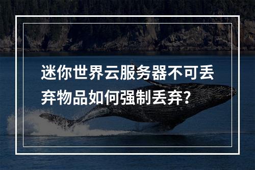 迷你世界云服务器不可丢弃物品如何强制丢弃？