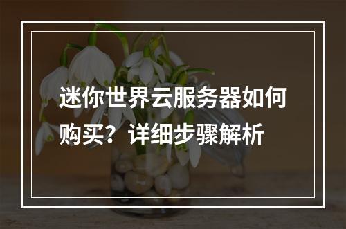 迷你世界云服务器如何购买？详细步骤解析