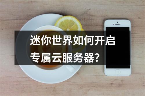 迷你世界如何开启专属云服务器？