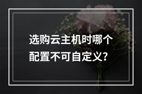 选购云主机时哪个配置不可自定义？
