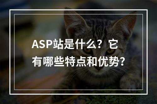 ASP站是什么?它有哪些特点和优势?