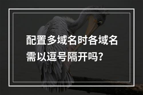 配置多域名时各域名需以逗号隔开吗？