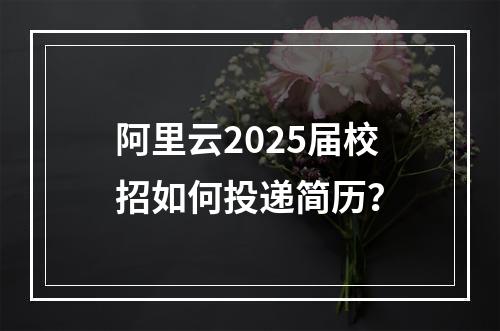 阿里云2025届校招如何投递简历？