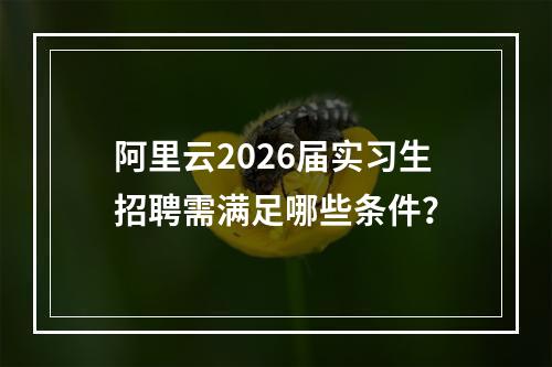 阿里云2026届实习生招聘需满足哪些条件？
